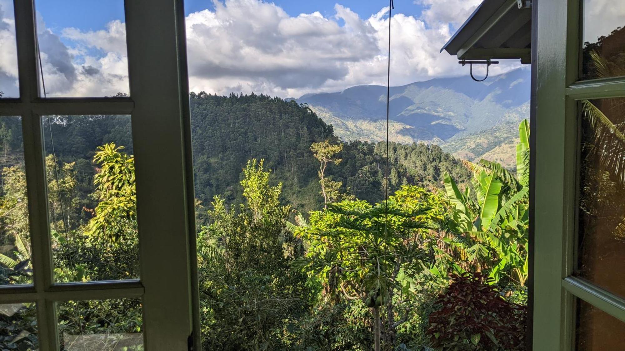 Lime Tree Farm, Blue Mountains Villa Mavis Bank Dış mekan fotoğraf
