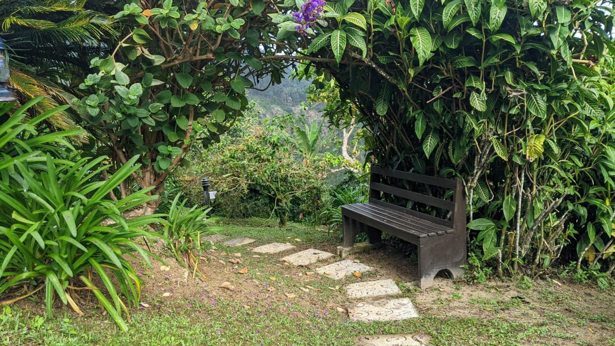 Lime Tree Farm, Blue Mountains Villa Mavis Bank Dış mekan fotoğraf